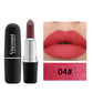 Frosted Matte Bullet Lipstick 12 Color Moisturizing Lipstick Collection