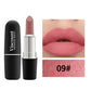 Frosted Matte Bullet Lipstick 12 Color Moisturizing Lipstick Collection