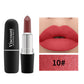 Frosted Matte Bullet Lipstick 12 Color Moisturizing Lipstick Collection