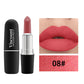 Frosted Matte Bullet Lipstick 12 Color Moisturizing Lipstick Collection