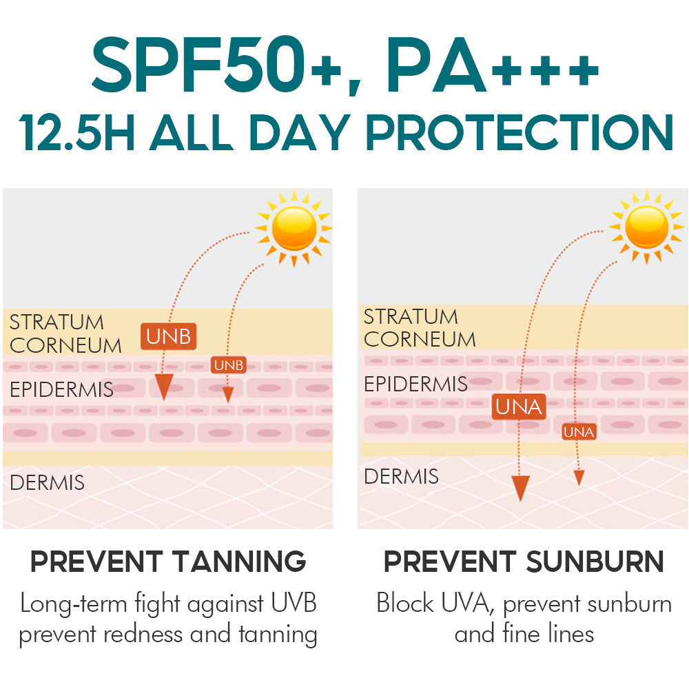 SPF50+ Protection Cream Sunscreen Formula