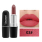 Frosted Matte Bullet Lipstick 12 Color Moisturizing Lipstick Collection