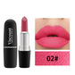 Frosted Matte Bullet Lipstick 12 Color Moisturizing Lipstick Collection