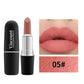 Frosted Matte Bullet Lipstick 12 Color Moisturizing Lipstick Collection